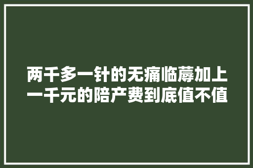 两千多一针的无痛临蓐加上一千元的陪产费到底值不值得