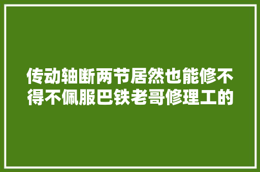 传动轴断两节居然也能修不得不佩服巴铁老哥修理工的日常