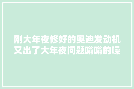 刚大年夜修好的奥迪发动机又出了大年夜问题嗡嗡的噪音让车主苦不堪言