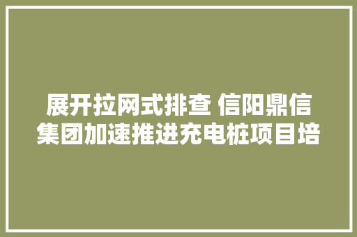 展开拉网式排查 信阳鼎信集团加速推进充电桩项目培植