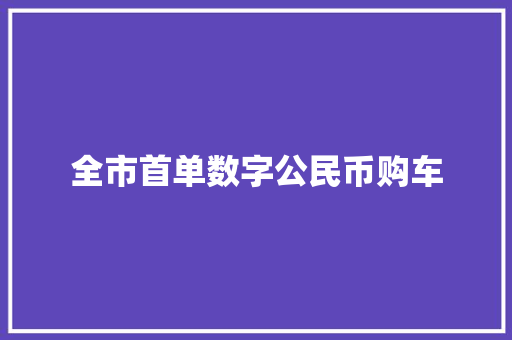 全市首单数字公民币购车