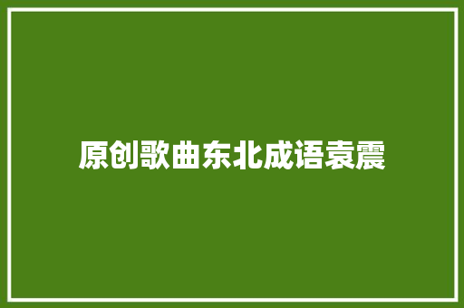原创歌曲东北成语袁震