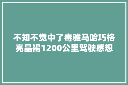 不知不觉中了毒雅马哈巧格亮晶褐1200公里驾驶感想沾染杂谈