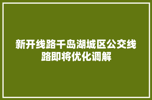 新开线路千岛湖城区公交线路即将优化调解