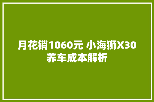 月花销1060元 小海狮X30养车成本解析