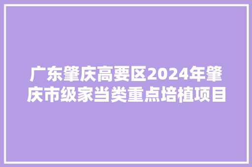 广东肇庆高要区2024年肇庆市级家当类重点培植项目