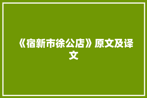 《宿新市徐公店》原文及译文