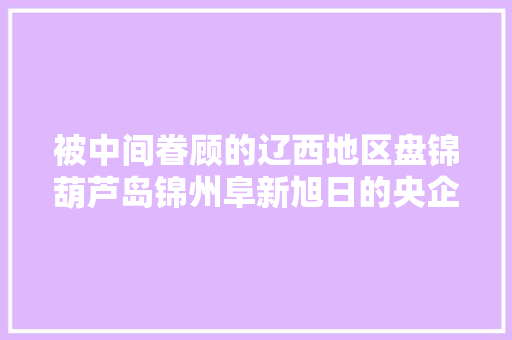 被中间眷顾的辽西地区盘锦葫芦岛锦州阜新旭日的央企制造业多牛
