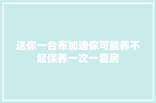 送你一台布加迪你可能养不起保养一次一套房