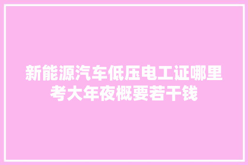 新能源汽车低压电工证哪里考大年夜概要若干钱