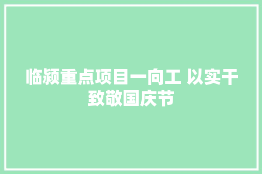 临颍重点项目一向工 以实干致敬国庆节