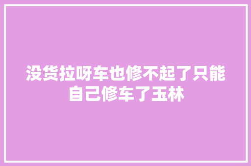 没货拉呀车也修不起了只能自己修车了玉林