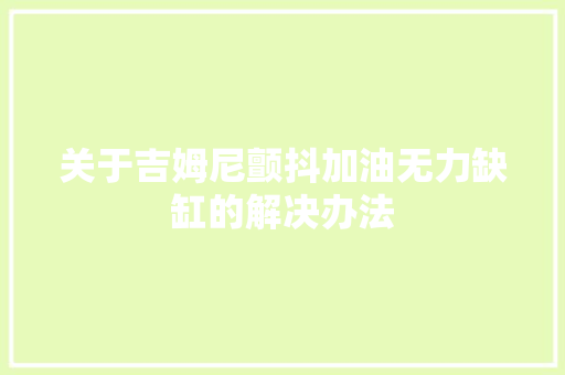 关于吉姆尼颤抖加油无力缺缸的解决办法
