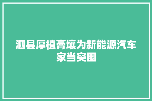 泗县厚植膏壤为新能源汽车家当突围