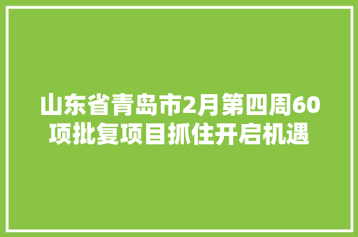 山东省青岛市2月第四周60项批复项目抓住开启机遇
