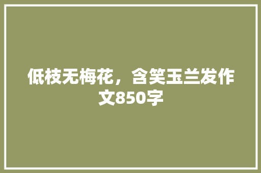 低枝无梅花，含笑玉兰发作文850字
