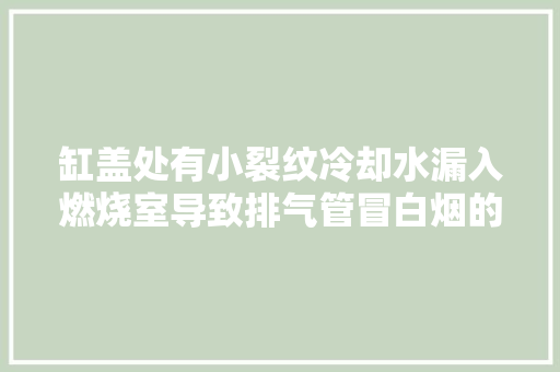 缸盖处有小裂纹冷却水漏入燃烧室导致排气管冒白烟的故障案例