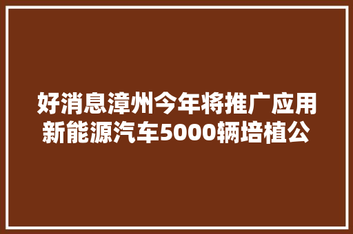 好消息漳州今年将推广应用新能源汽车5000辆培植公共充电桩750个