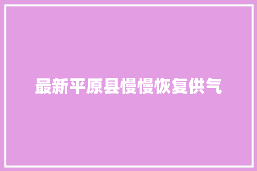 最新平原县慢慢恢复供气