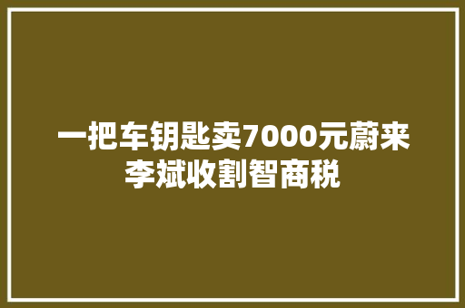 一把车钥匙卖7000元蔚来李斌收割智商税