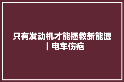 只有发动机才能拯救新能源｜电车伤疤