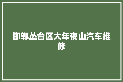 邯郸丛台区大年夜山汽车维修 汽车知识