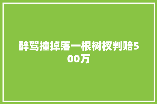 醉驾撞掉落一根树杈判赔500万