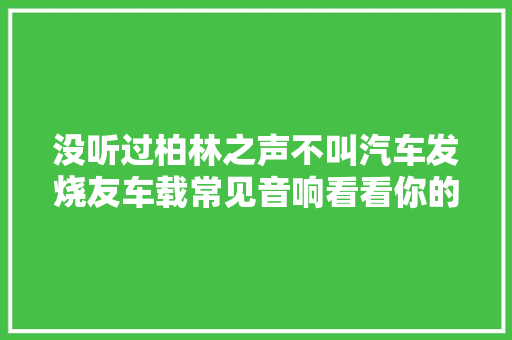 没听过柏林之声不叫汽车发烧友车载常见音响看看你的车用哪个