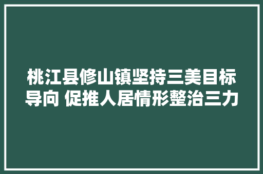 桃江县修山镇坚持三美目标导向 促推人居情形整治三力提升