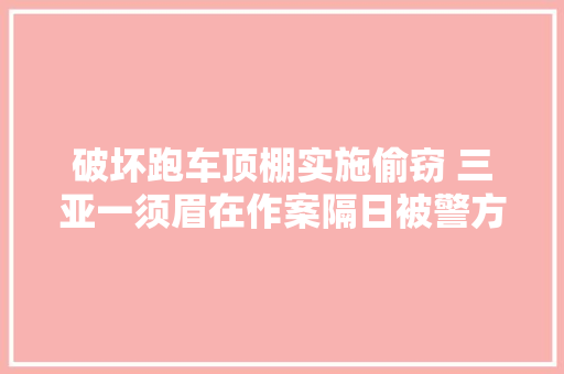 破坏跑车顶棚实施偷窃 三亚一须眉在作案隔日被警方抓获