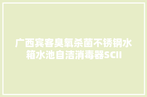 广西宾客臭氧杀菌不锈钢水箱水池自洁消毒器SCII