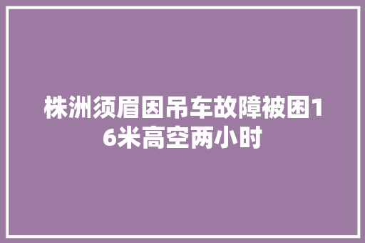 株洲须眉因吊车故障被困16米高空两小时