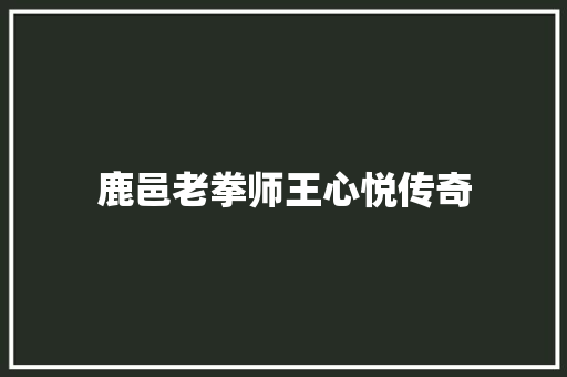 鹿邑老拳师王心悦传奇