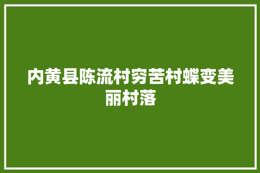 内黄县陈流村穷苦村蝶变美丽村落
