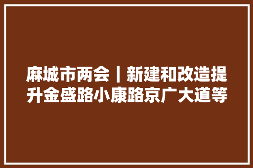 麻城市两会｜新建和改造提升金盛路小康路京广大道等完成金桥大年夜道孝感乡路示范路二期工程