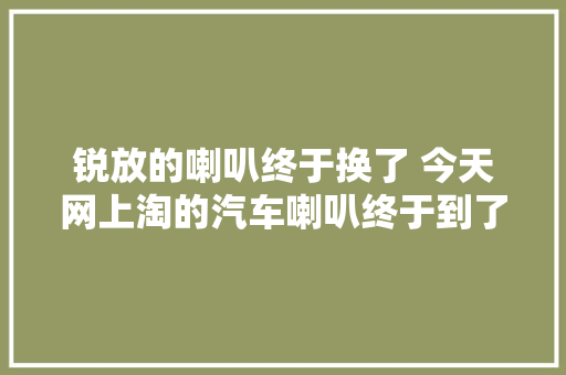 锐放的喇叭终于换了 今天网上淘的汽车喇叭终于到了迫不