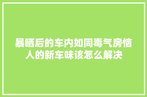 暴晒后的车内如同毒气房恼人的新车味该怎么解决
