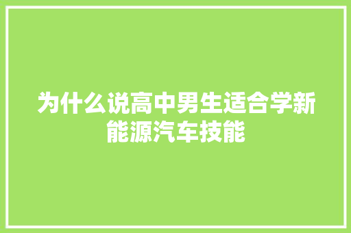 为什么说高中男生适合学新能源汽车技能