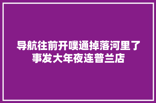 导航往前开噗通掉落河里了事发大年夜连普兰店