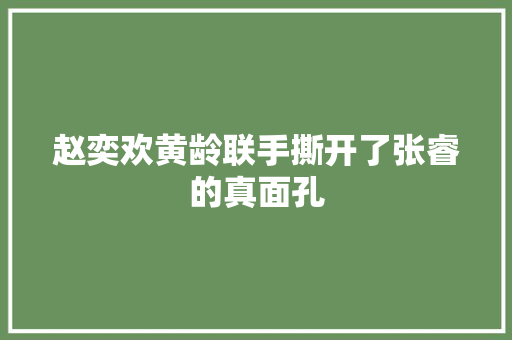赵奕欢黄龄联手撕开了张睿的真面孔