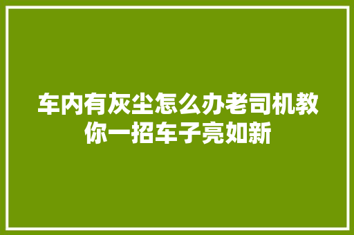 车内有灰尘怎么办老司机教你一招车子亮如新 汽车知识
