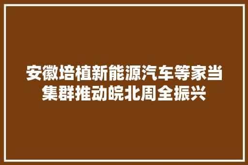 安徽培植新能源汽车等家当集群推动皖北周全振兴
