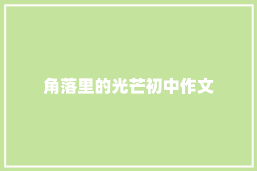 角落里的光芒初中作文