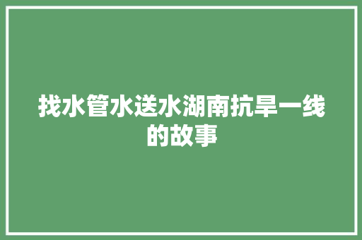 找水管水送水湖南抗旱一线的故事