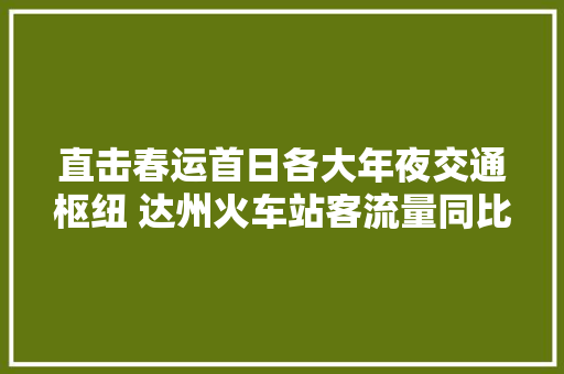 直击春运首日各大年夜交通枢纽 达州火车站客流量同比增长60