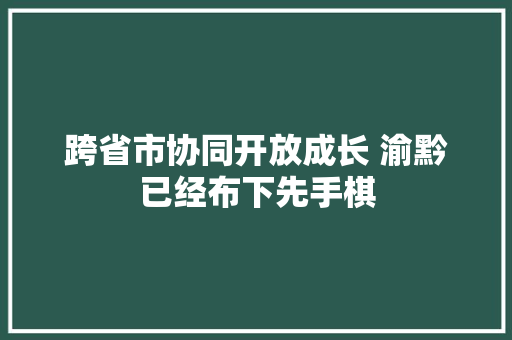 跨省市协同开放成长 渝黔已经布下先手棋