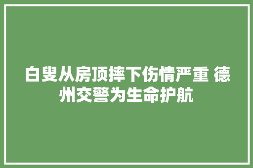 白叟从房顶摔下伤情严重 德州交警为生命护航
