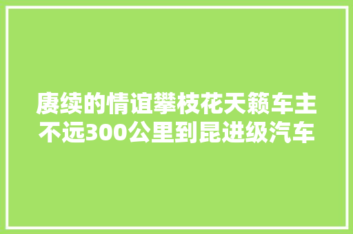 赓续的情谊攀枝花天籁车主不远300公里到昆进级汽车音响 静丰
