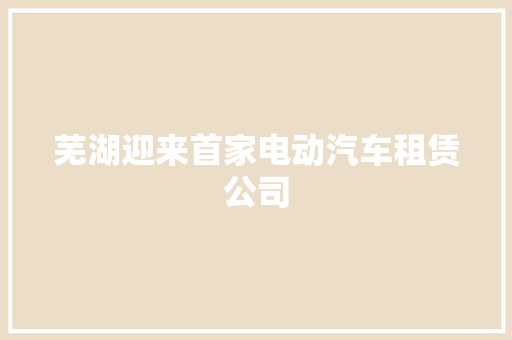 芜湖迎来首家电动汽车租赁公司