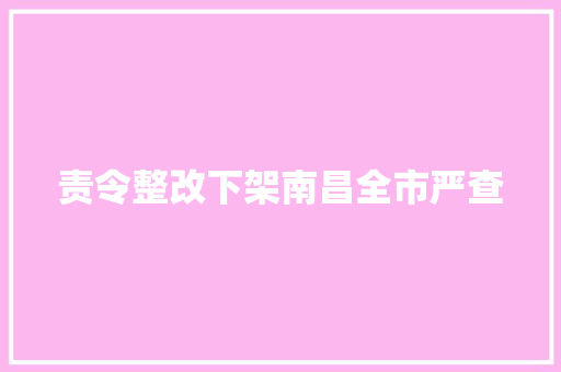 责令整改下架南昌全市严查